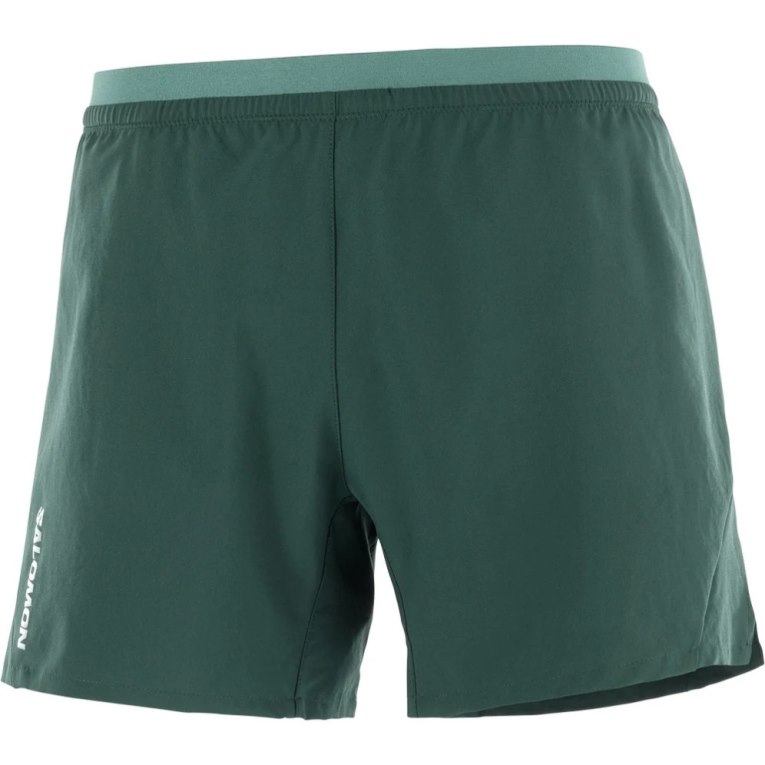 Calções Salomon Cross 5'' Masculino Verdes | PT R76982